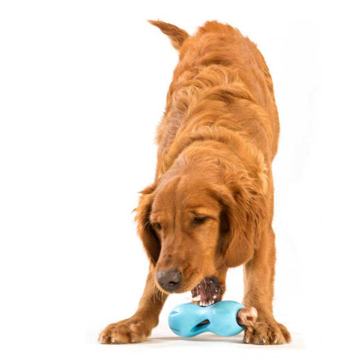 Dog Toy F6000
