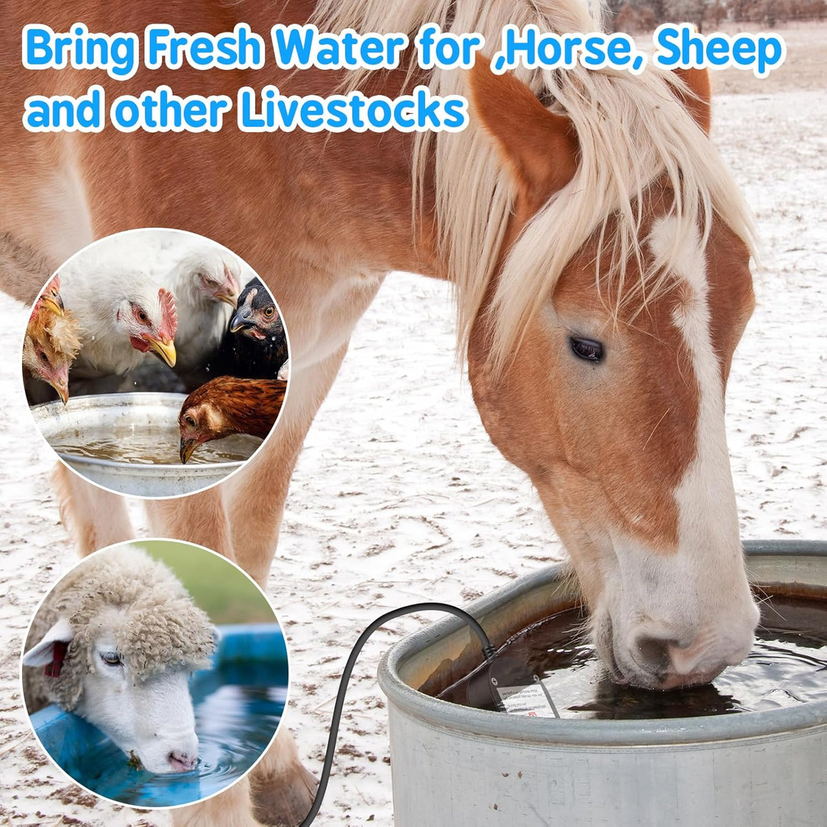 250W Thermostatically Controlled Chicken Waterer Heater A878