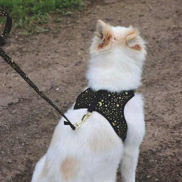 Adjustable Dog Harness J390430