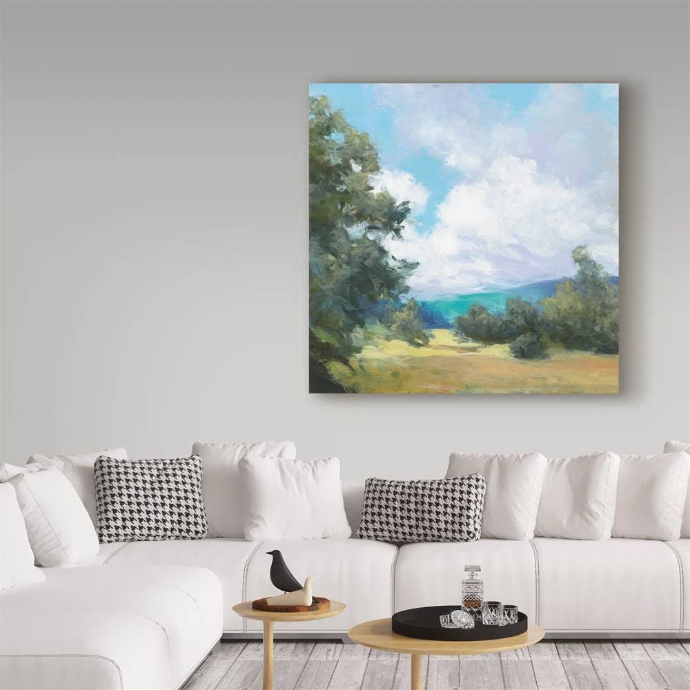 Canvas S440074