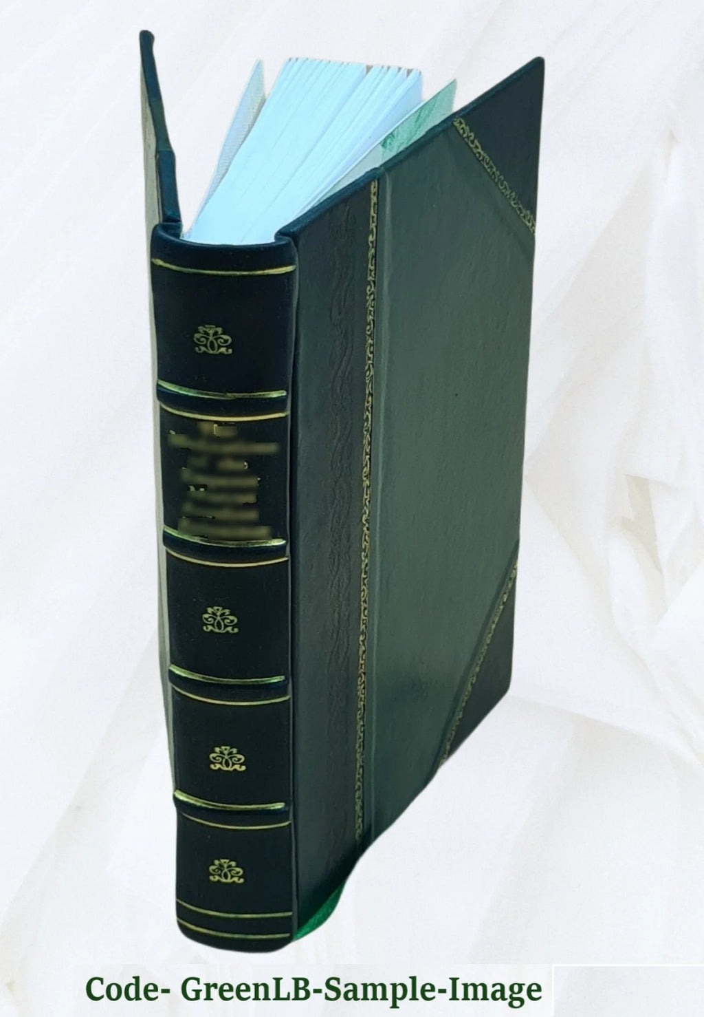 Theory and applications of gyrostatics and rotational motion S55805