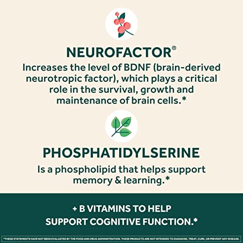 Brain Supplement 30 Capsules L1379