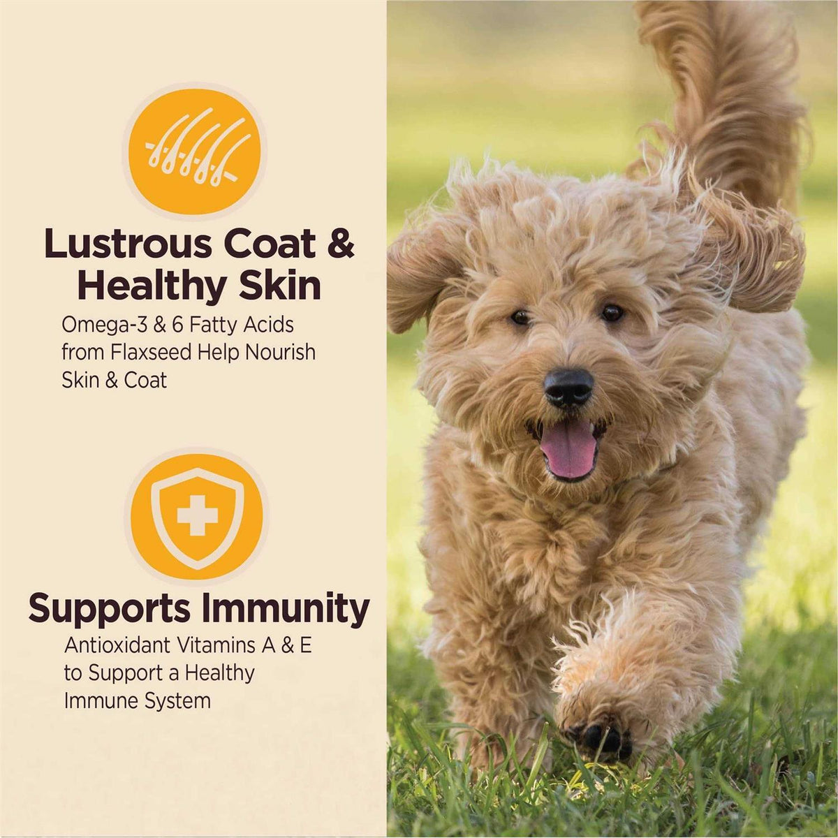 Digestive Health Dry Dog Puppy Food T36795