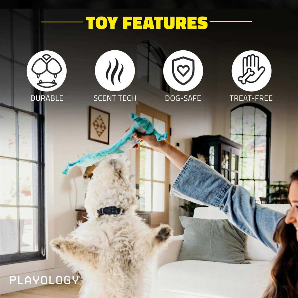 Snail Dog Toy W816