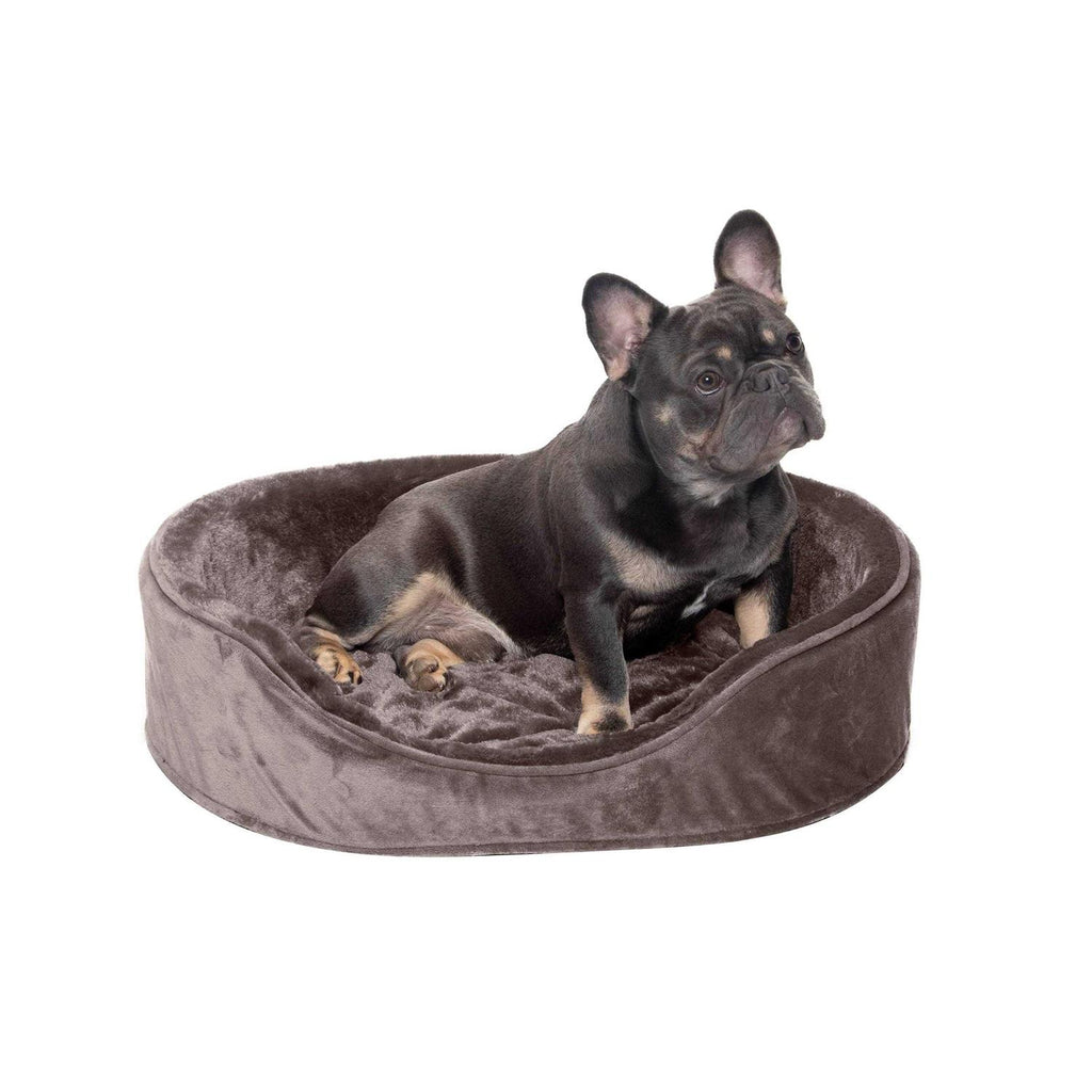 Plush & Velvet Oval Dog Bed D596923
