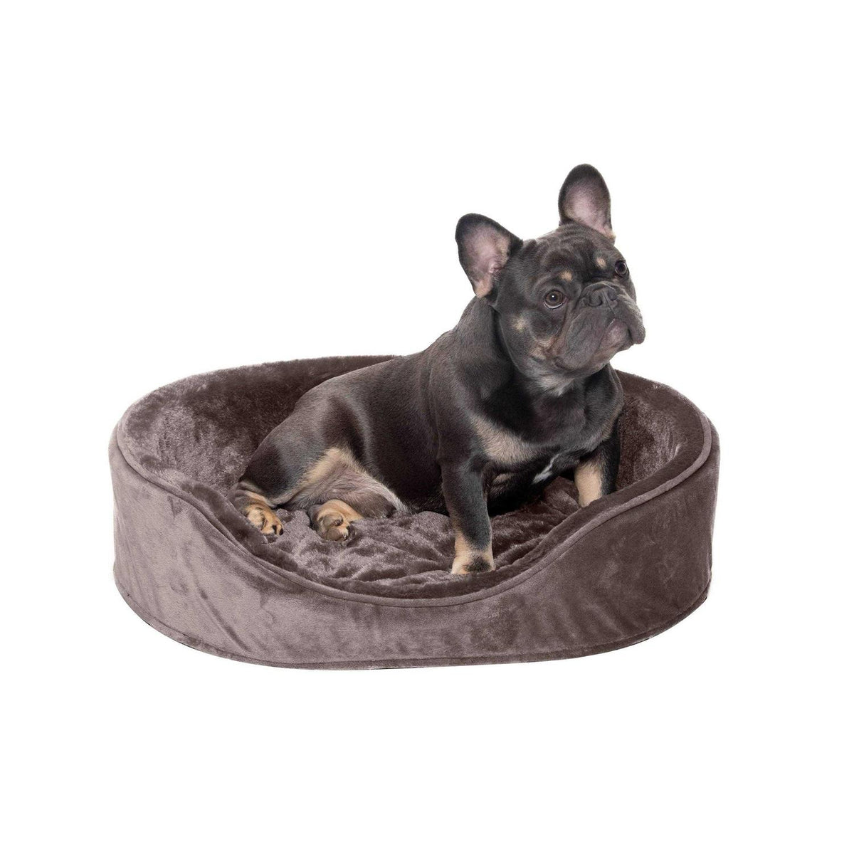 Plush & Velvet Oval Dog Bed D596923