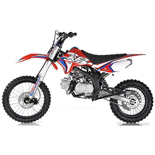 125CC Gas Dirt Bike with Steel Frame 17/14 inch 4 Speed Y3913
