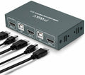 2 Port HDMI KVM Switch with 2 USB and 2 HDMI Cables R719