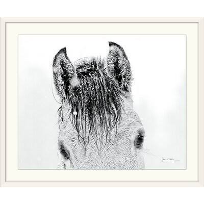 Photographic Print White Frame 27x22 H x 32x22 W x 1x22 D G60058
