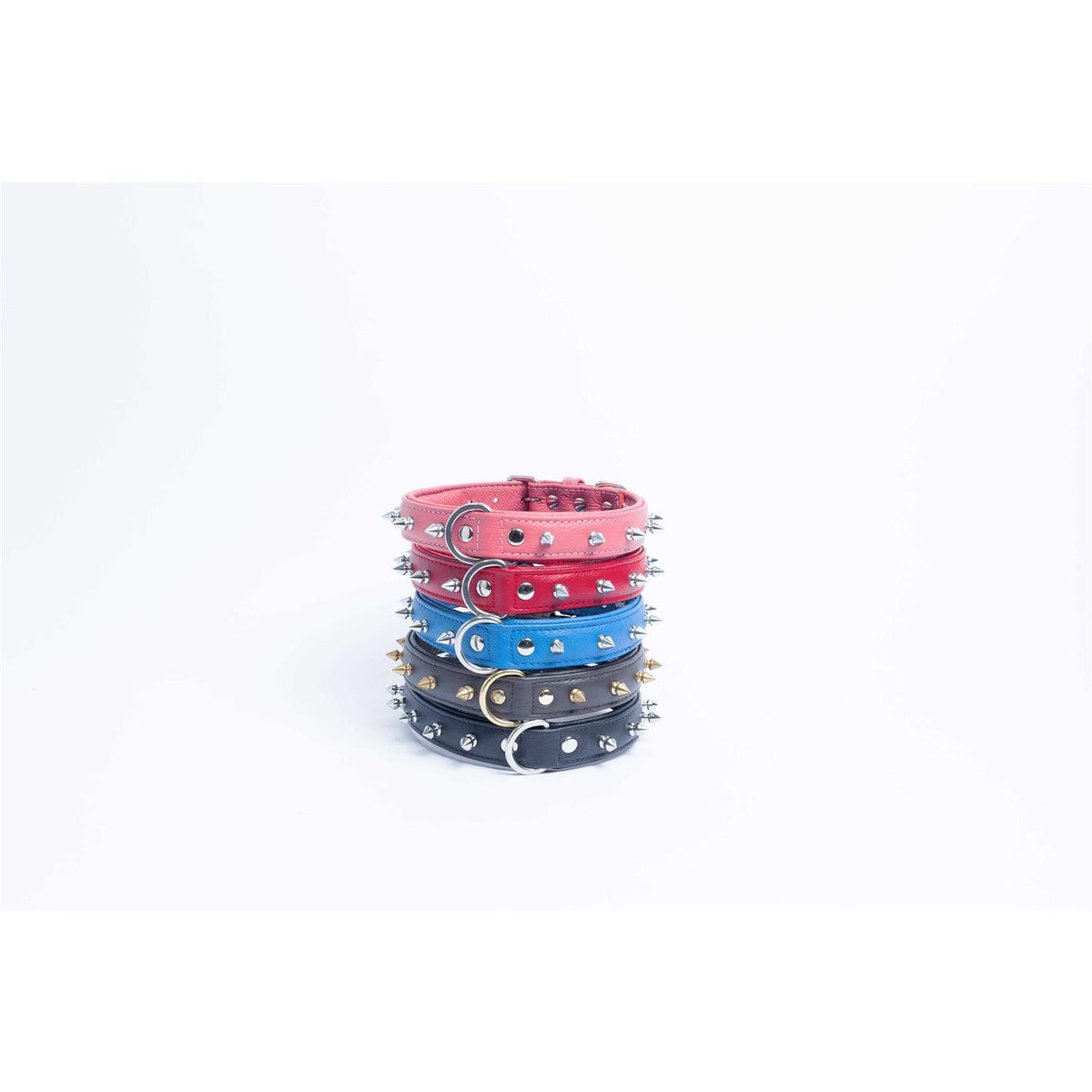 Dog Collar D463833