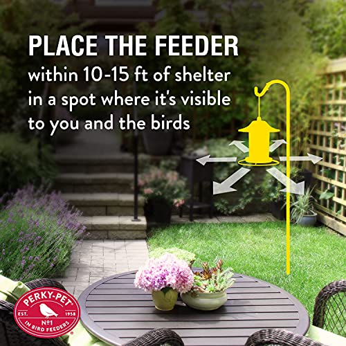 2 Lb Seed Capacity Wild Bird Feeder F9644
