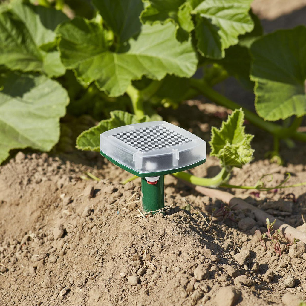 Solar Mole and Gopher Chaser Y846683
