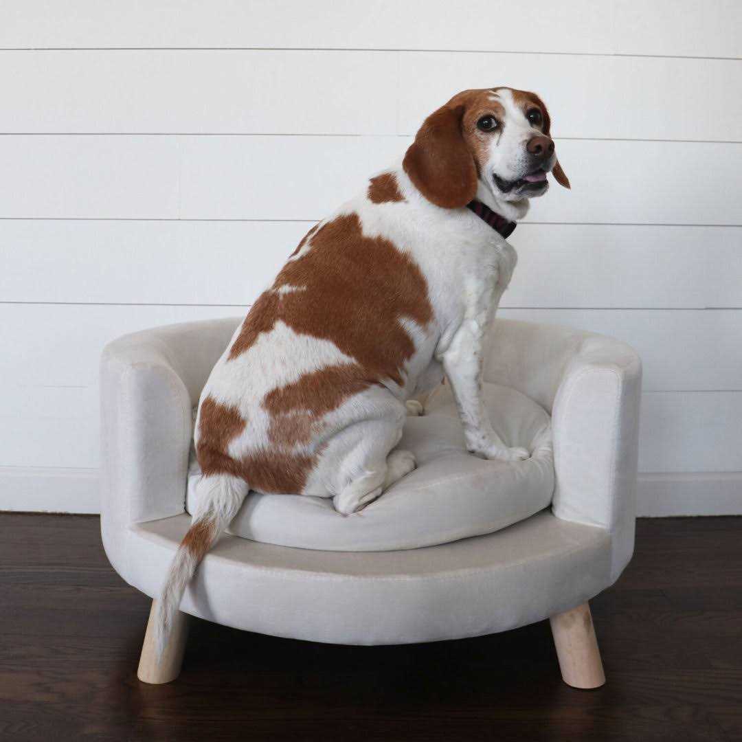 Faux-Velvet Circular Pet Bed K7035