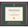 Gold Windsor Diploma Frame F3165