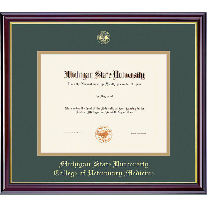 Gold Windsor Diploma Frame F3165