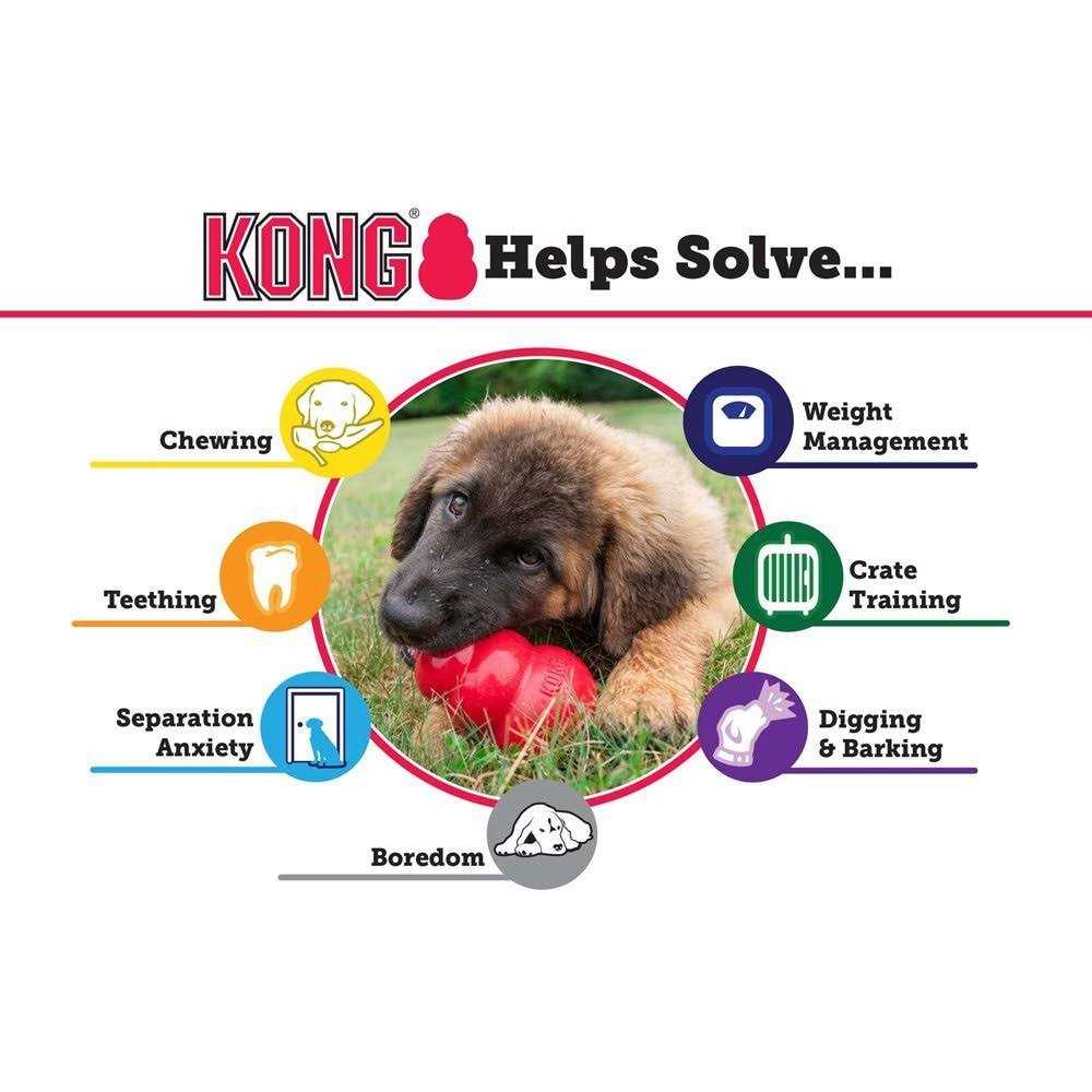 KONG Dog Toy V33546