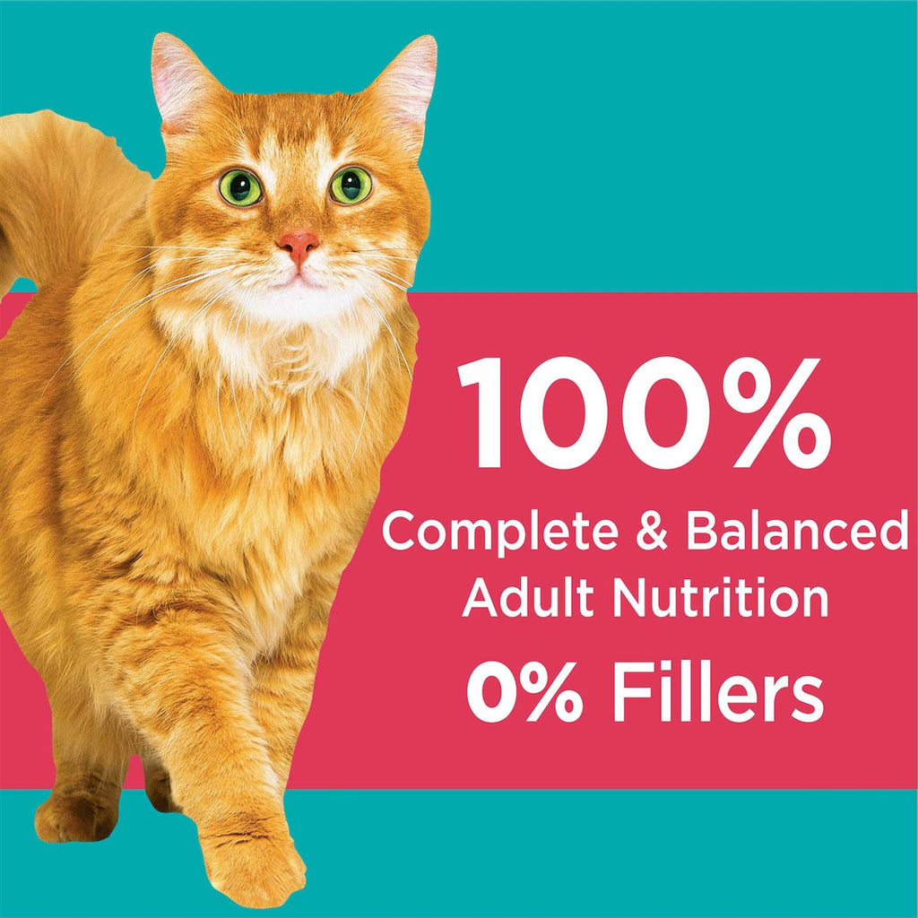Salmon Adult Dry Cat Food A348151