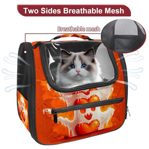 Halloween Pet Carrier Bag G4759