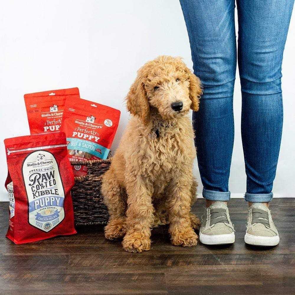 Puppy Raw Coated Kibble R84451
