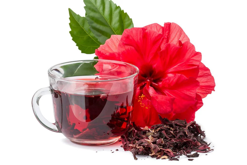 Iced Hibiscus Tea 22 Count Pack Of 6 G575