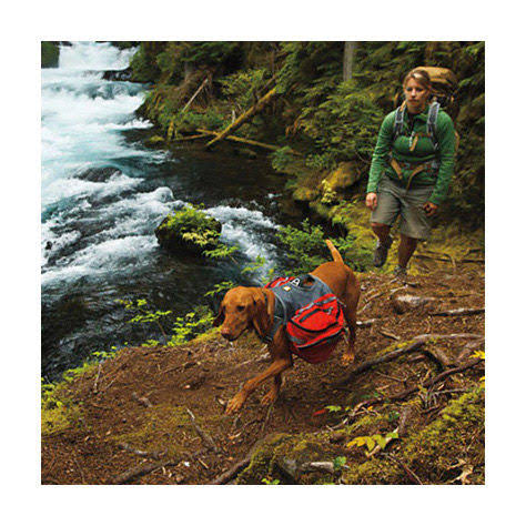 Medium Red Currant Palisades Pack Y7866
