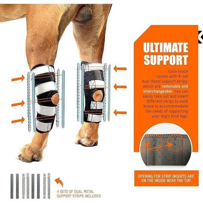 3-in-1 Dog Rear Leg Support Splint Braces R5640