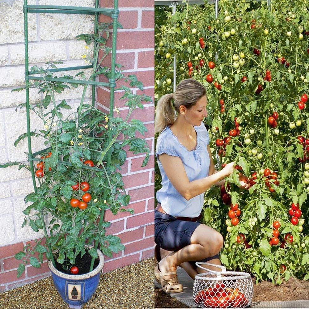 Tomato Cages Plant Supports with 9Pcs Clips Pack of 2 W560808