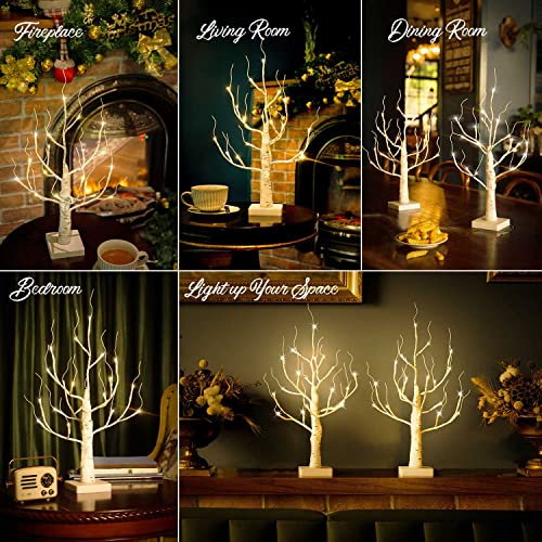 4ft 48LED Artificial Birch Tree Light G402130