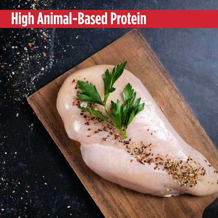 Grain Free Turkey & Chicken Cat & Kitten Food Y697203