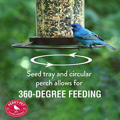 2 Lb Seed Capacity Wild Bird Feeder F9644
