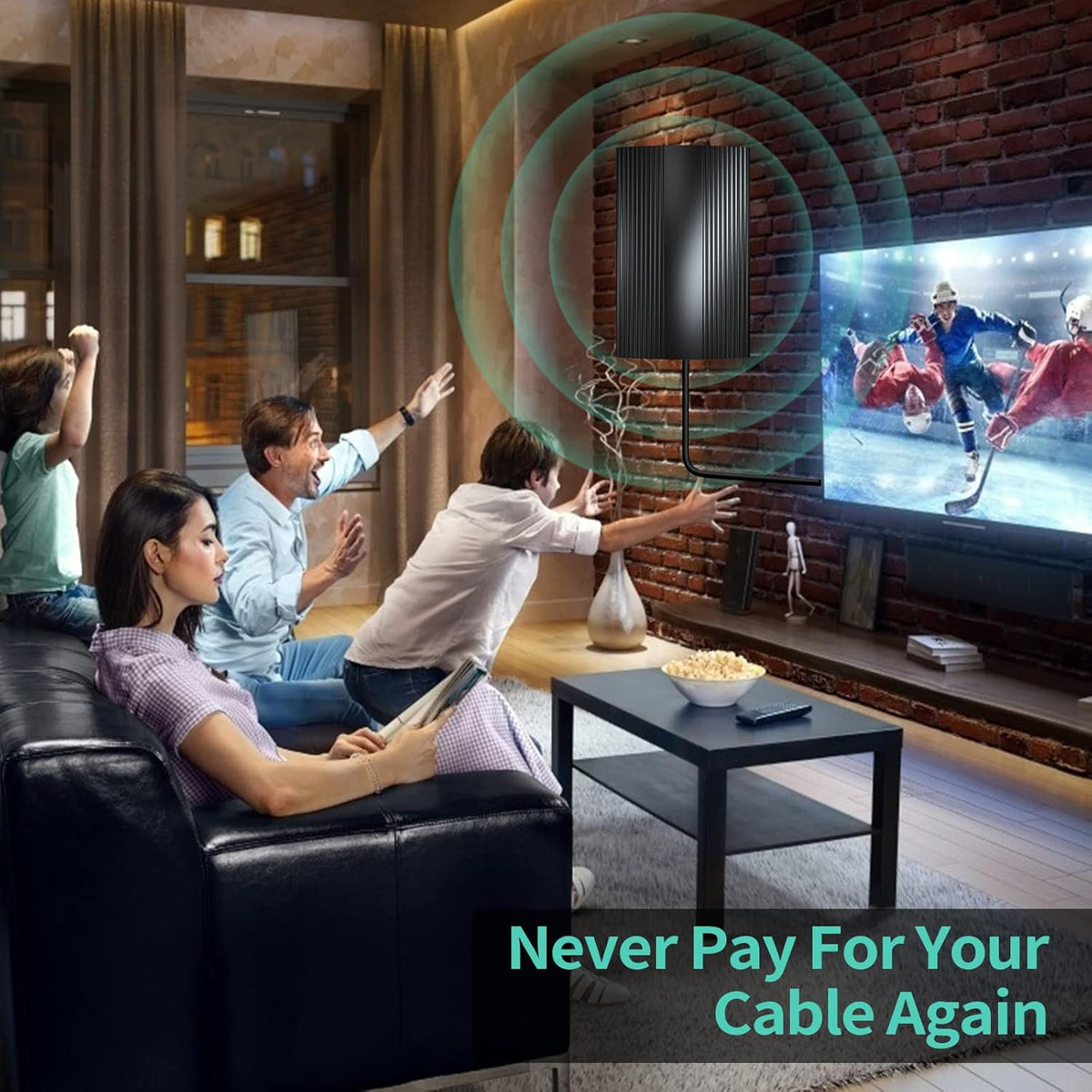 Digital TV Antenna 380 Miles Range Indoor Outdoor 4K 1080P Q2746