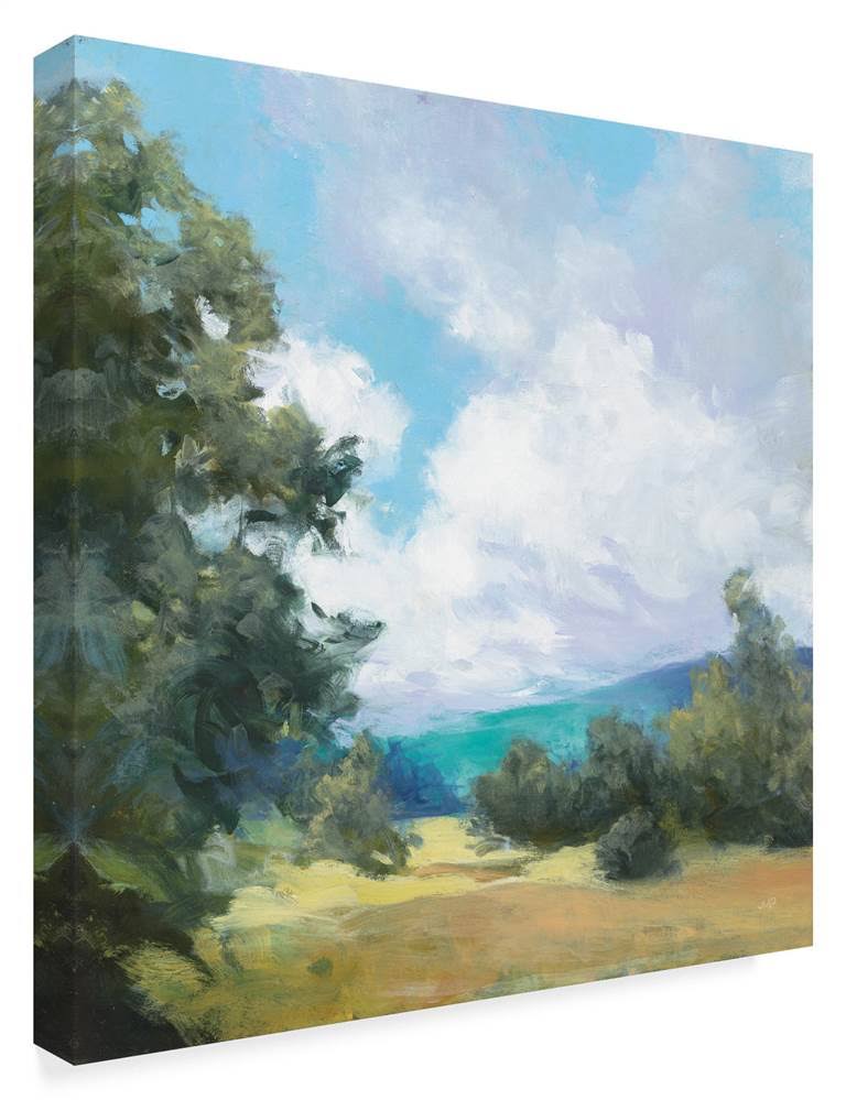 Canvas S440074