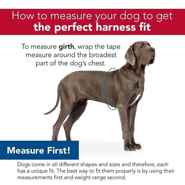 Adjustable Dog Harness J390430
