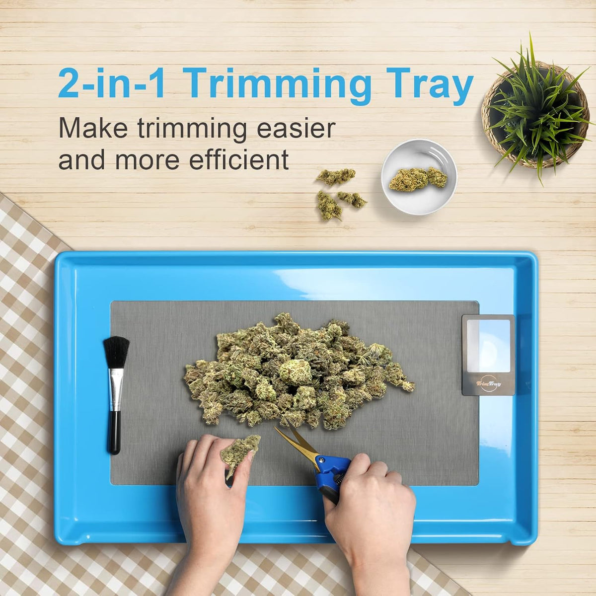 Black & Blue Bud Trimming Tray with 150 Micron Kief Screen, Pack of 2 T40939