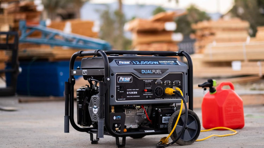 Heavy Duty Portable Dual Fuel Generator, 9500 Rated Watts & 12000 Peak Watts, Gas & LPG, Electric Start E651