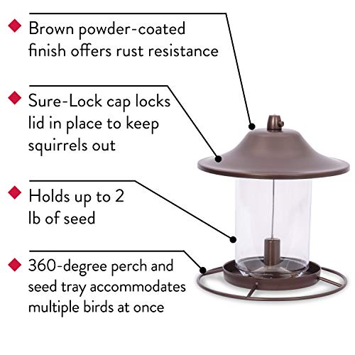 2 Lb Seed Capacity Wild Bird Feeder F9644