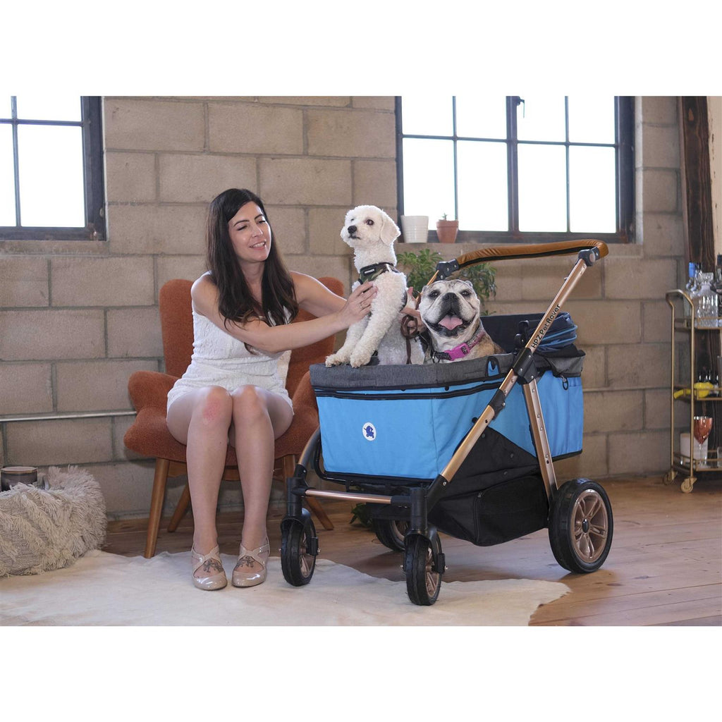 Pet Stroller K713241