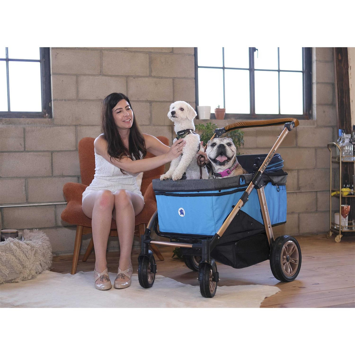 Pet Stroller K713241