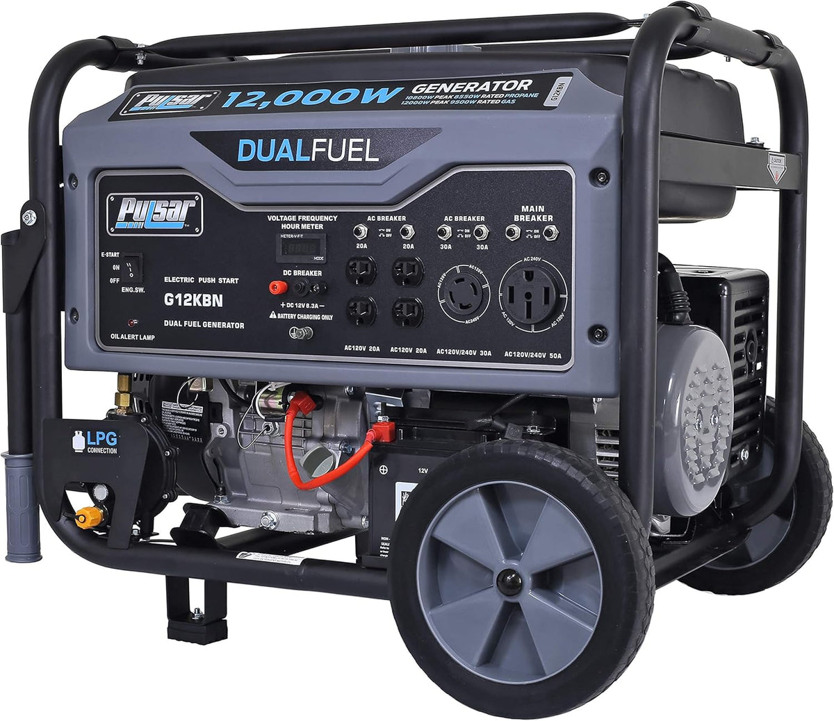 Heavy Duty Portable Dual Fuel Generator, 9500 Rated Watts & 12000 Peak Watts, Gas & LPG, Electric Start E651