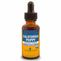 California Poppy S22970