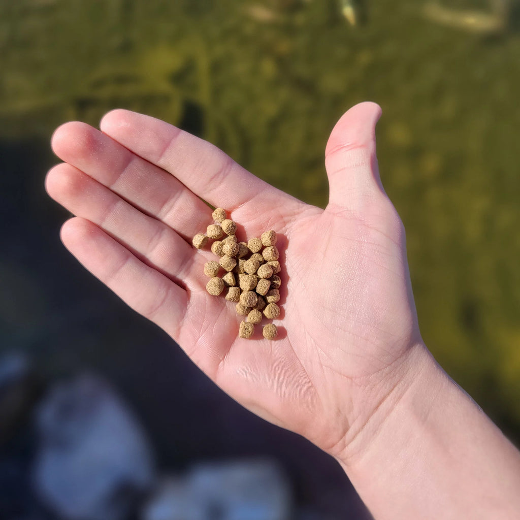 Koi and Goldfish Food 10 lb Bag G97103