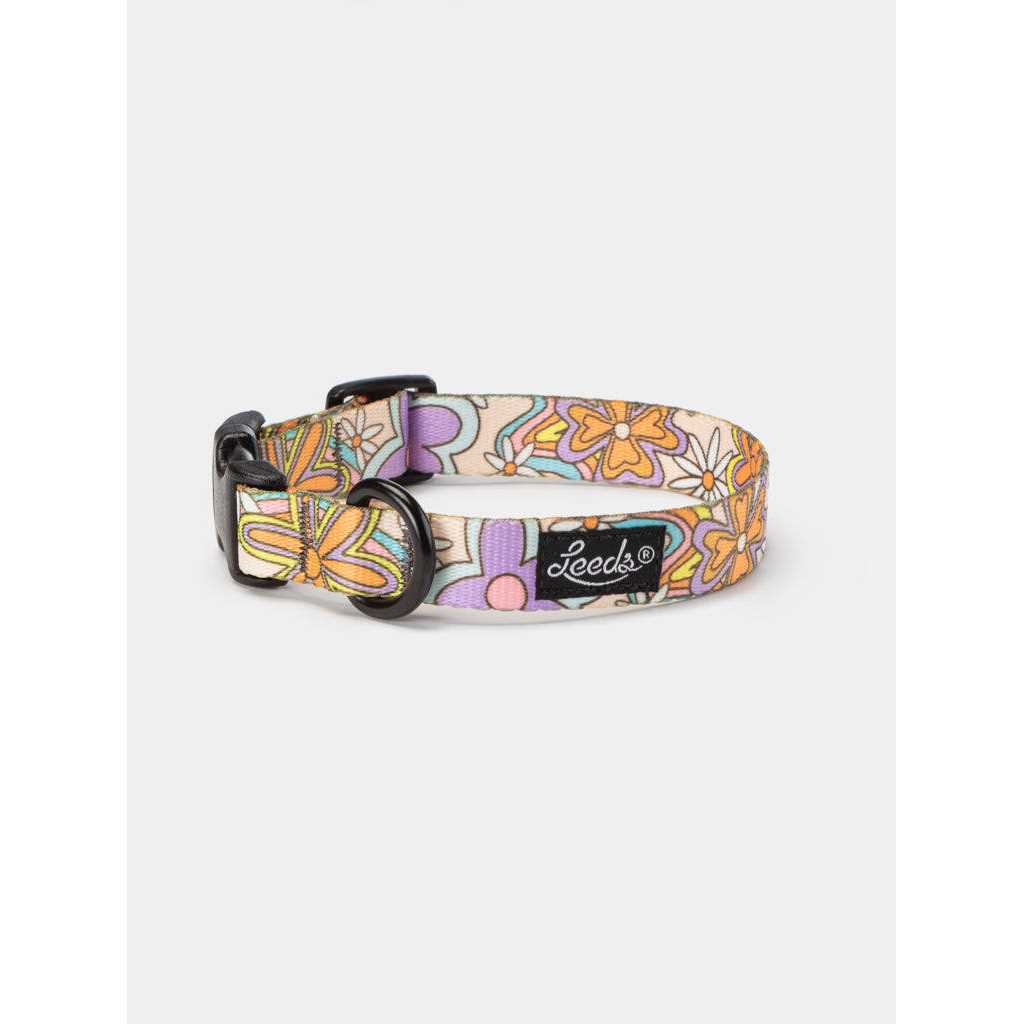 Dog Collar V46586