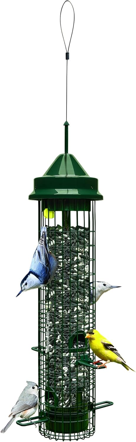Squirrel-proof Bird Feeder with 4 Feeding Ports, 2.4-pound Seed Capacity, Pack of 2 Z765