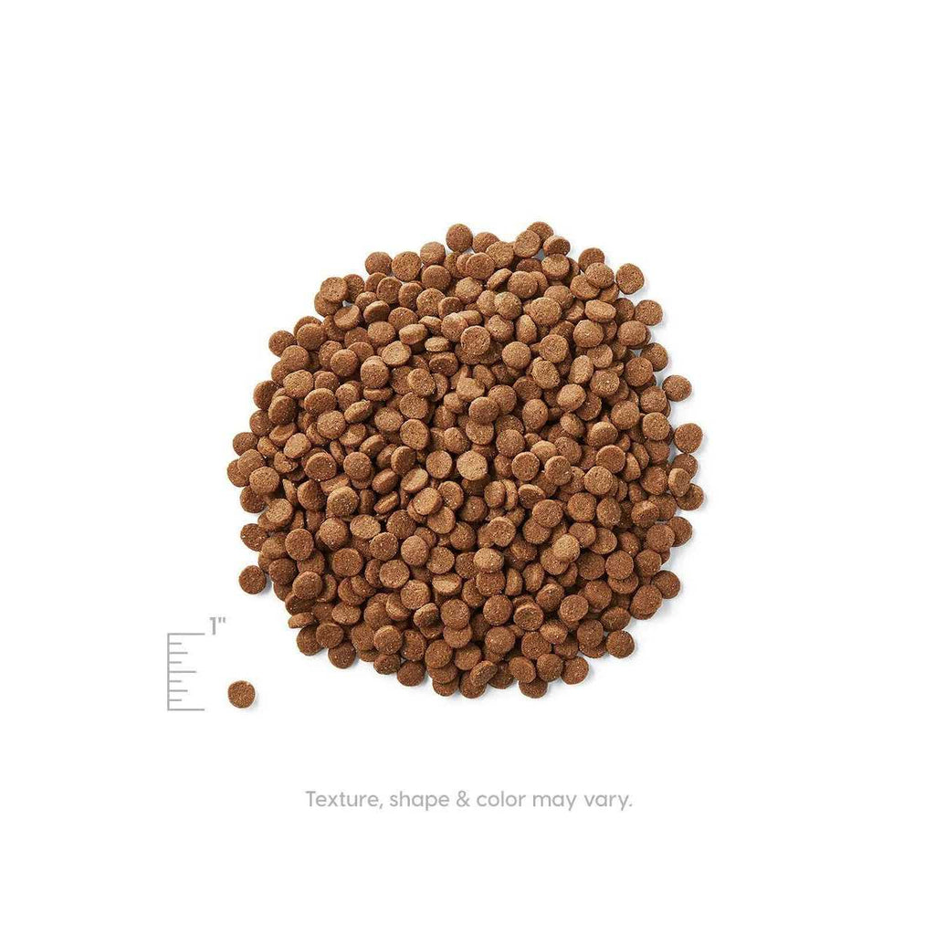 Dry Cat Food Y761