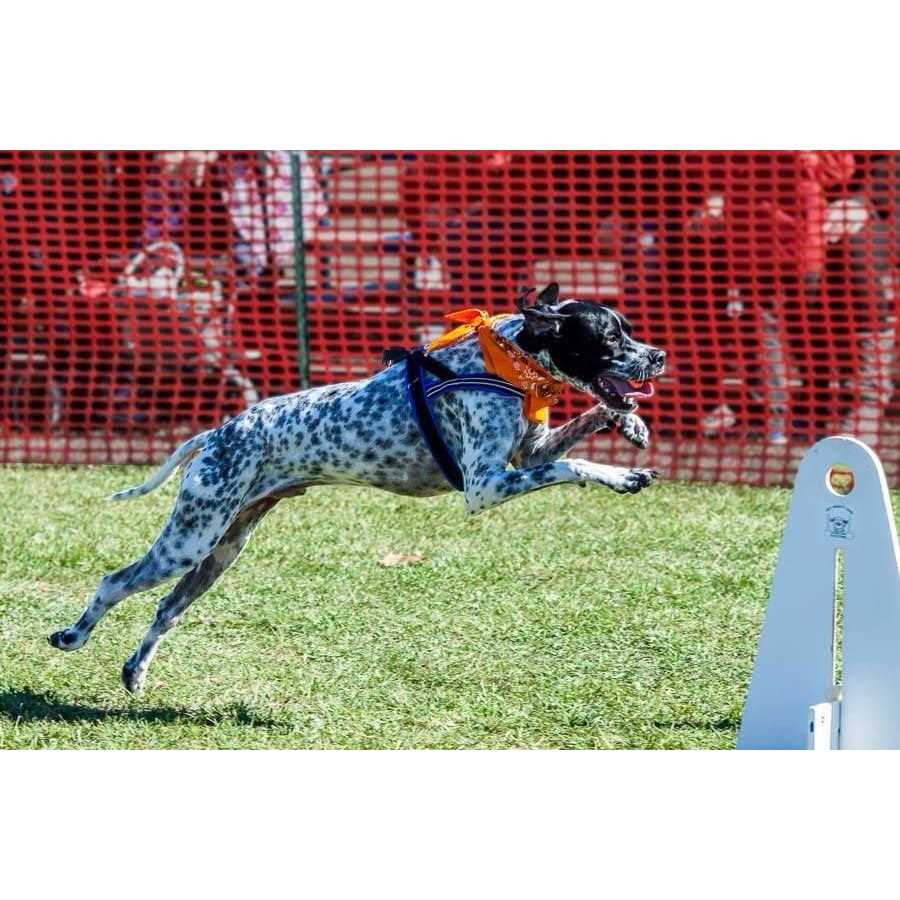 Sport Harness Y26746