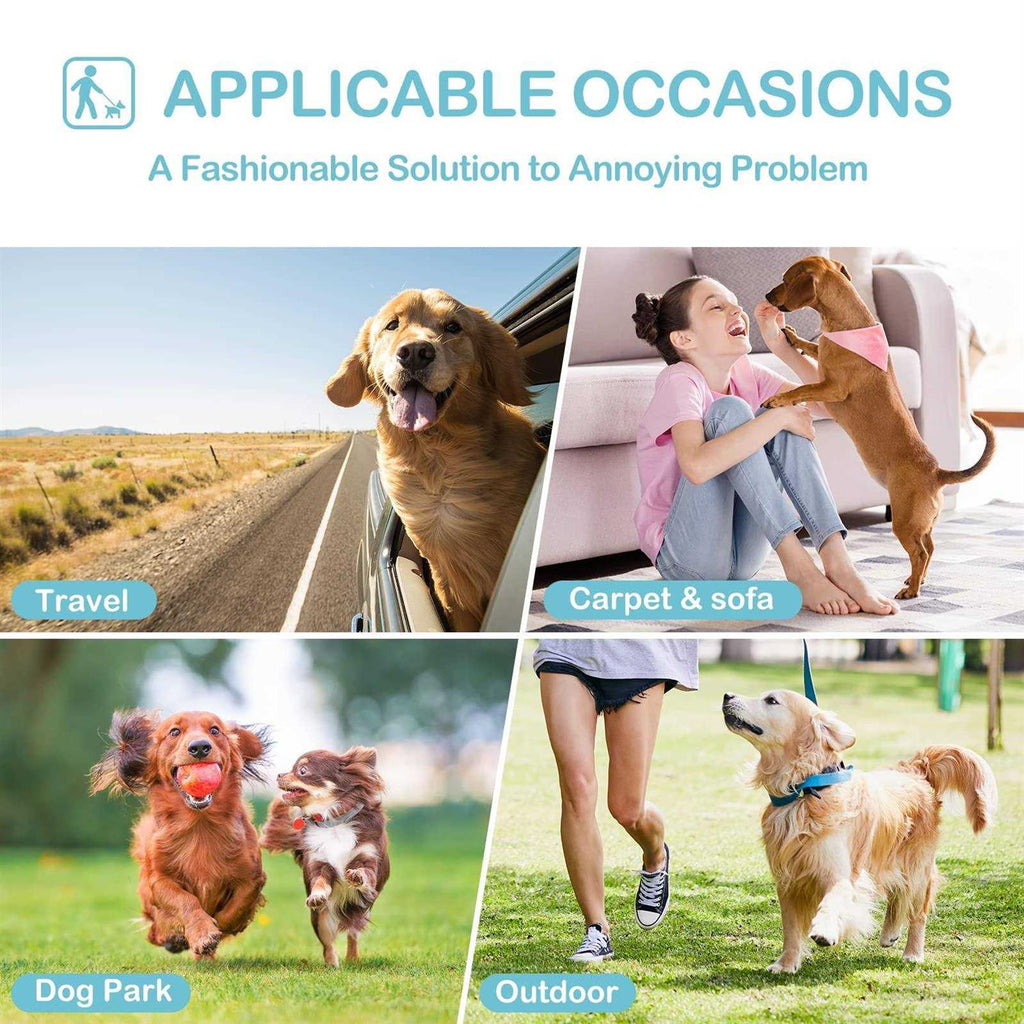 3 Pack Washable Reusable Absorbent Female Dog Diapers R946