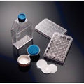 6 Well BioCoat Plates Q96634