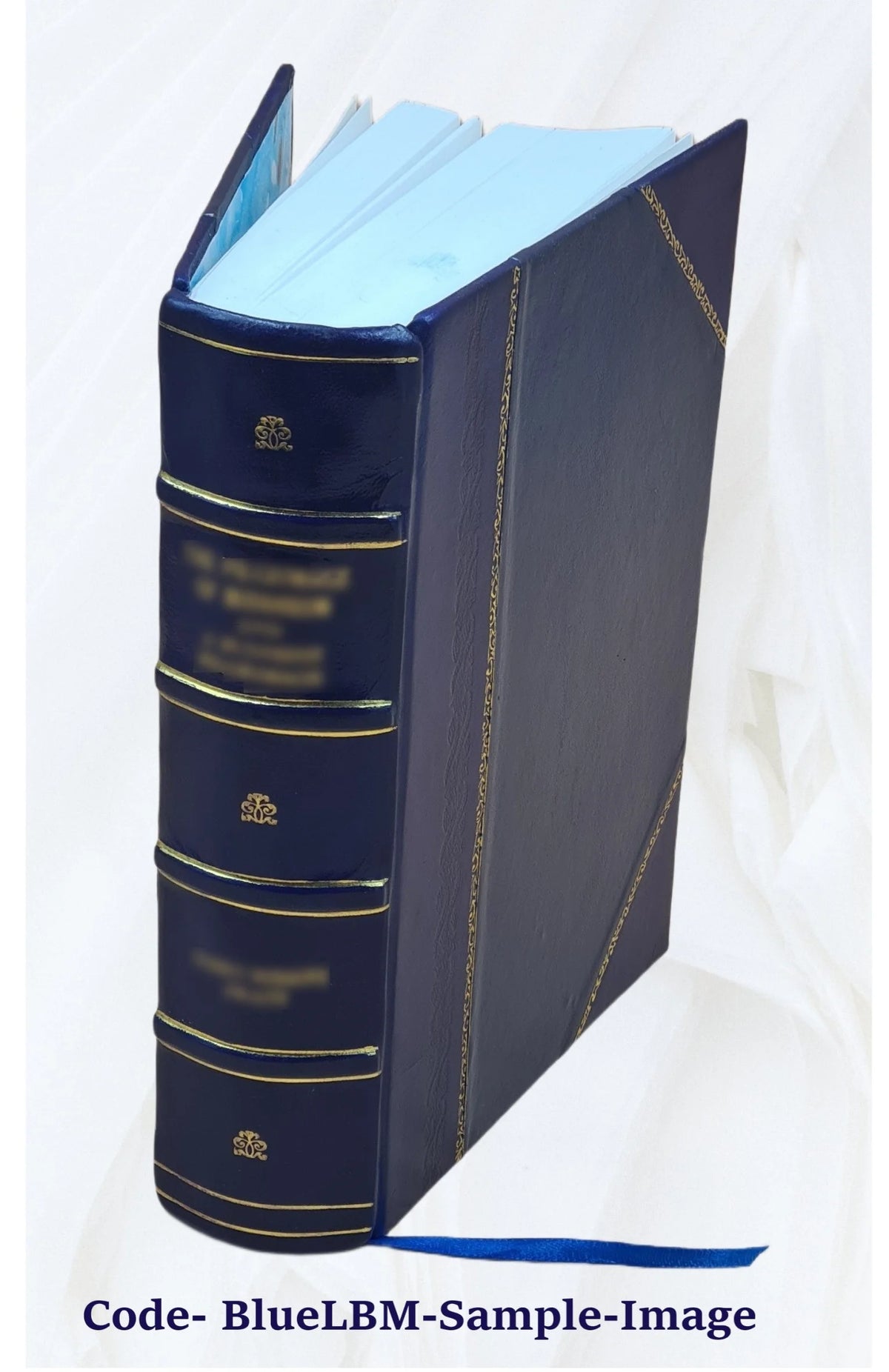 Leather Bound Book A141