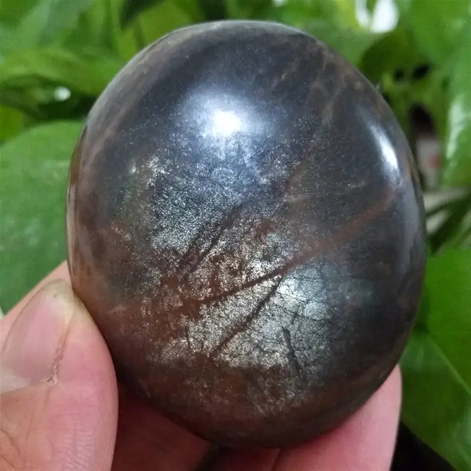 Black Moonstone Crystal Palm Stone O274348
