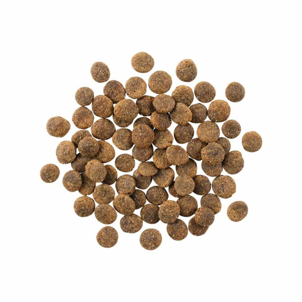 Limited Ingredient Lamb Grain-Free Dry Dog Food Y4462